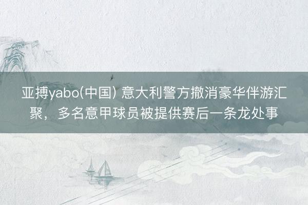 亚搏yabo(中国) 意大利警方撤消豪华伴游汇聚，多名意甲球员被提供赛后一条龙处事