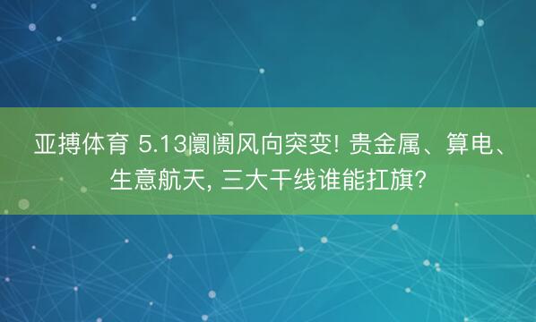 亚搏体育 5.13阛阓风向突变! 贵金属、算电、生意航天, 三大干线谁能扛旗?