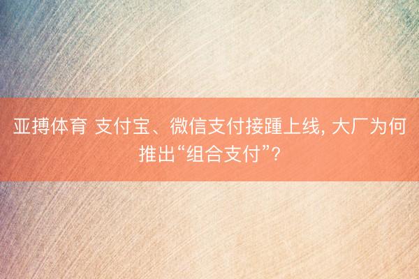 亚搏体育 支付宝、微信支付接踵上线， 大厂为何推出“组合支付”?