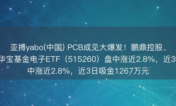 亚搏yabo(中国) PCB成见大爆发！鹏鼎控股、生益科技涨停，华宝基金电子ETF（515260）盘中涨近2.8%，近3日吸金1267万元