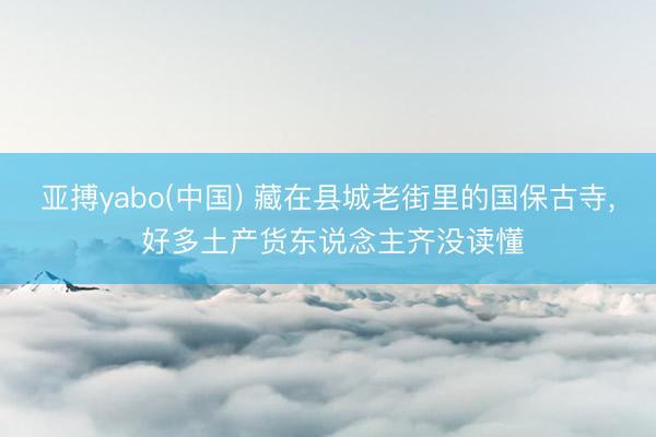亚搏yabo(中国) 藏在县城老街里的国保古寺， 好多土产货东说念主齐没读懂