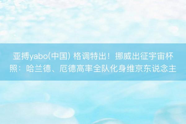 亚搏yabo(中国) 格调特出！挪威出征宇宙杯照：哈兰德、厄德高率全队化身维京东说念主