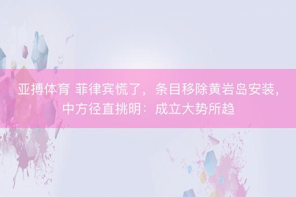 亚搏体育 菲律宾慌了，条目移除黄岩岛安装，中方径直挑明：成立大势所趋