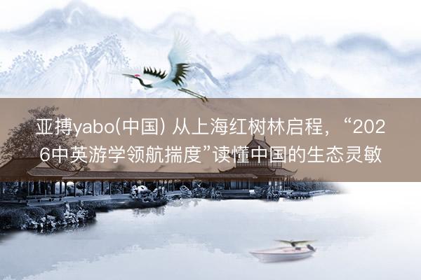 亚搏yabo(中国) 从上海红树林启程，“2026中英游学领航揣度”读懂中国的生态灵敏