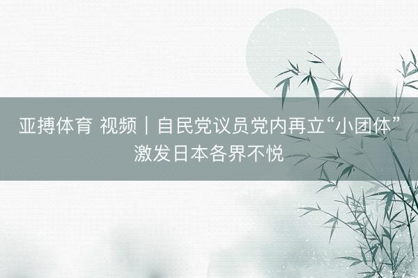 亚搏体育 视频｜自民党议员党内再立“小团体”激发日本各界不悦