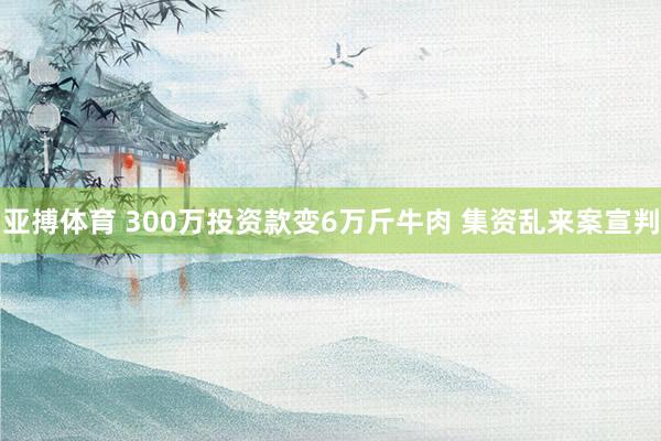 亚搏体育 300万投资款变6万斤牛肉 集资乱来案宣判