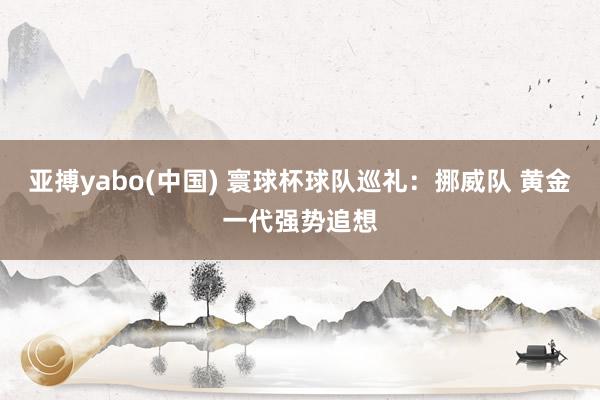 亚搏yabo(中国) 寰球杯球队巡礼：挪威队 黄金一代强势追想