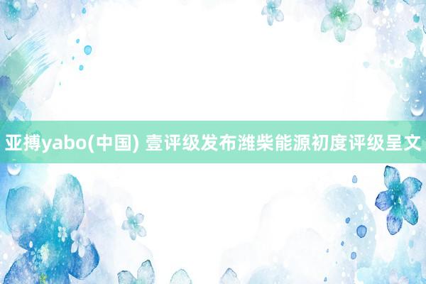 亚搏yabo(中国) 壹评级发布潍柴能源初度评级呈文
