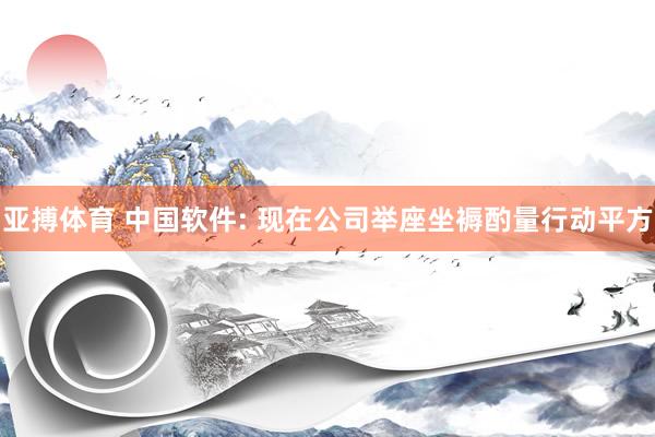 亚搏体育 中国软件: 现在公司举座坐褥酌量行动平方