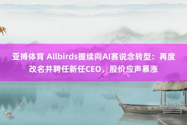 亚搏体育 Allbirds握续向AI赛说念转型：再度改名并聘任新任CEO，股价应声暴涨